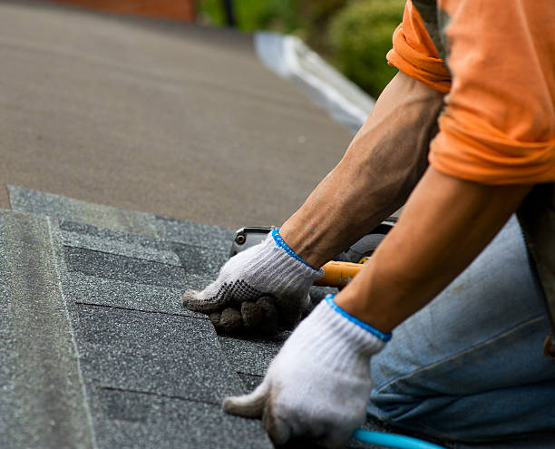 Best Roof Waterproofing Services  in Warren Park, IN