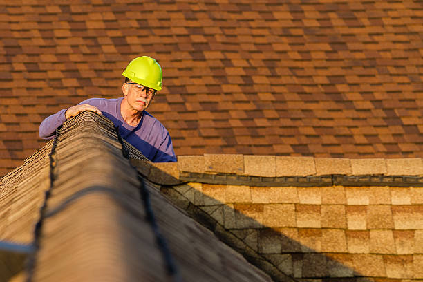 Best Roofing Contractor Near Me  in Warren Park, IN